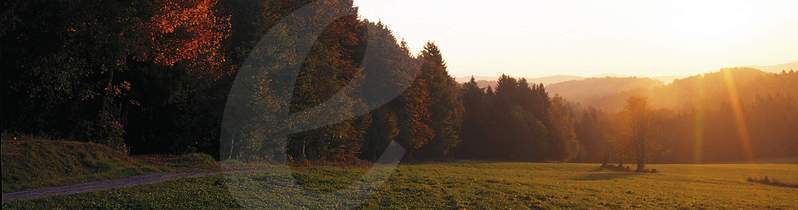 Schwäbischer-Wald